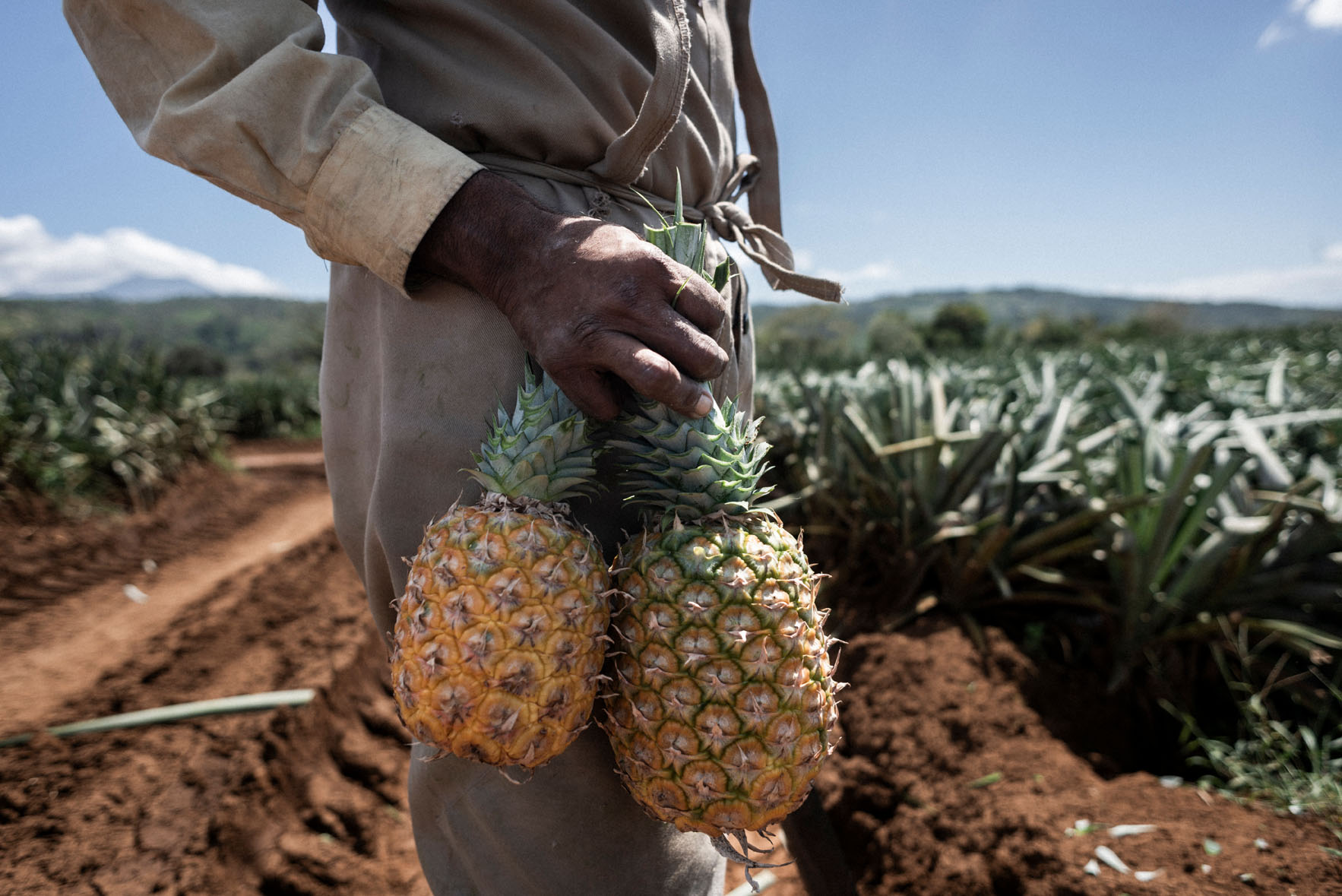 ✨ 🇮🇹Italian Cuisine Was Just Crowned By UNESCO Part 3: The Quiet Heart of  Italy That Fed a Civilization If the coasts brought trade and the great  cities brought fame, it was, image size:1766x1179