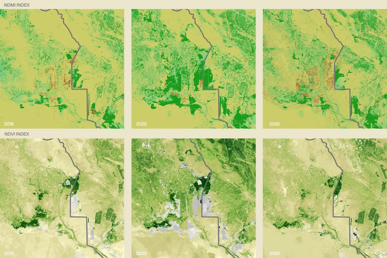 Analisi dello stato di salute della vegetazione utilizzando i dati multispettrali di Sentinel 2 con particolare riferimento agli indici NDVI (Normalized Difference Vegetation Index) e NDMI (Normalized Difference Moisture Index) negli anni 2018, 2020 e 2025. È possibile notare un aumento del degrado degli ecosistemi delle zone umide con diffusione dell'estensione di aree non vegetale (zone in colore marrone)
