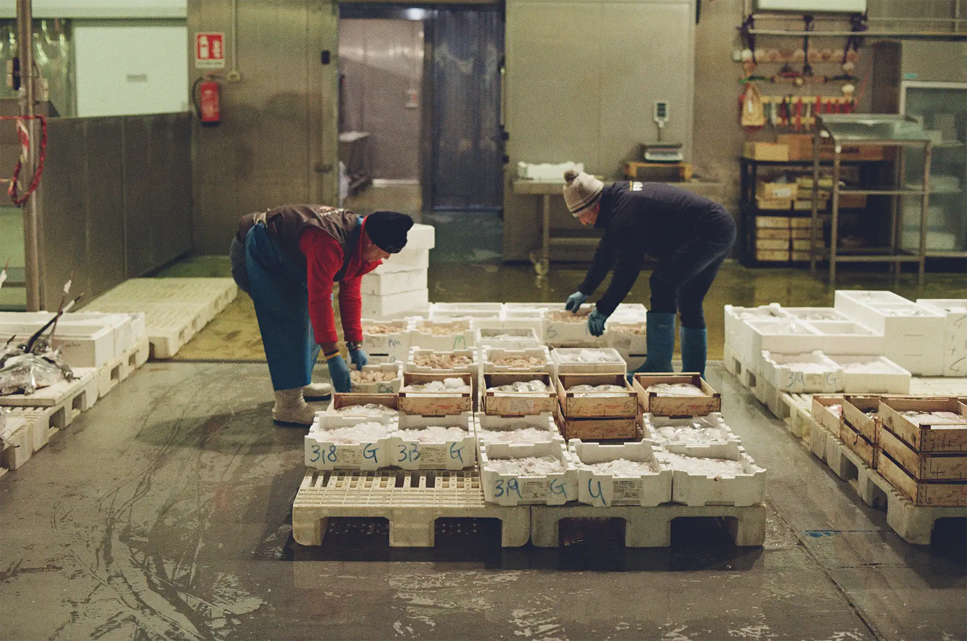 Il lavoro notturno al mercato ittico, prima dell’apertura al pubblico alle 4:00 del mattino