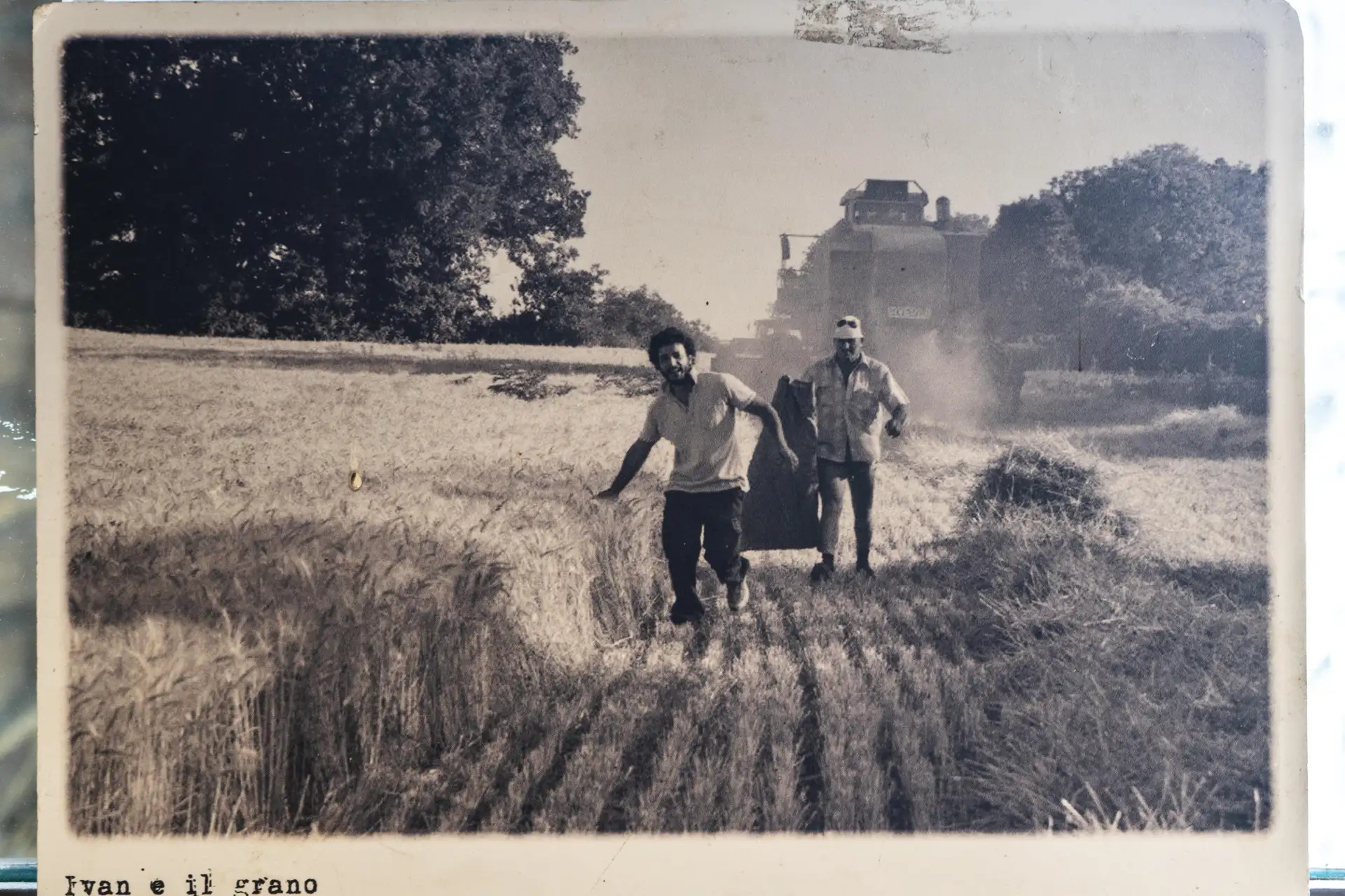 Ivan Parisi in una vecchia foto di famiglia. “Ivan e il grano”, si legge nella didascalia battuta a macchina: un legame antico con la terra