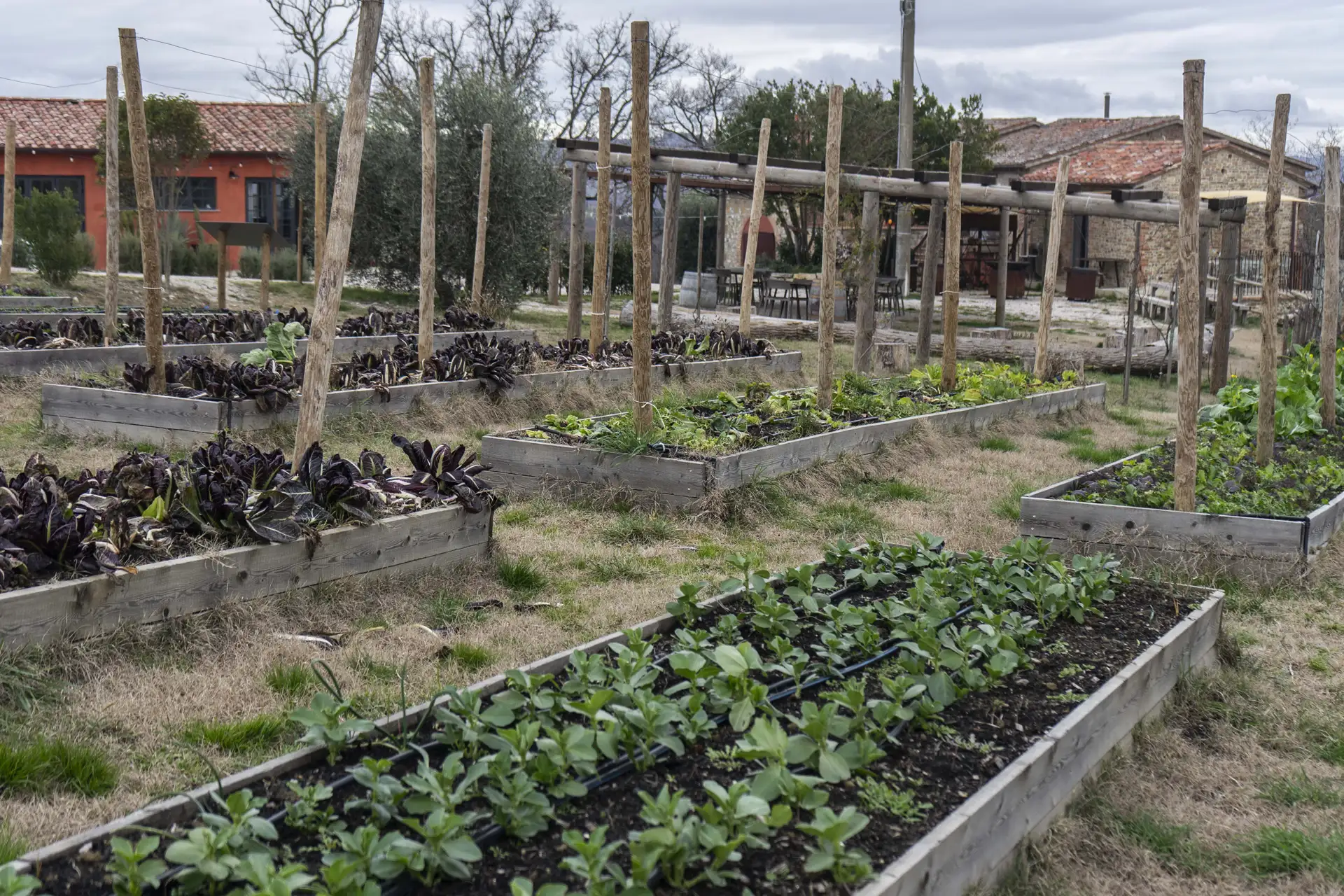 Gli orti con alcune delle moltissime varietà orticole coltivate da Quintosapore