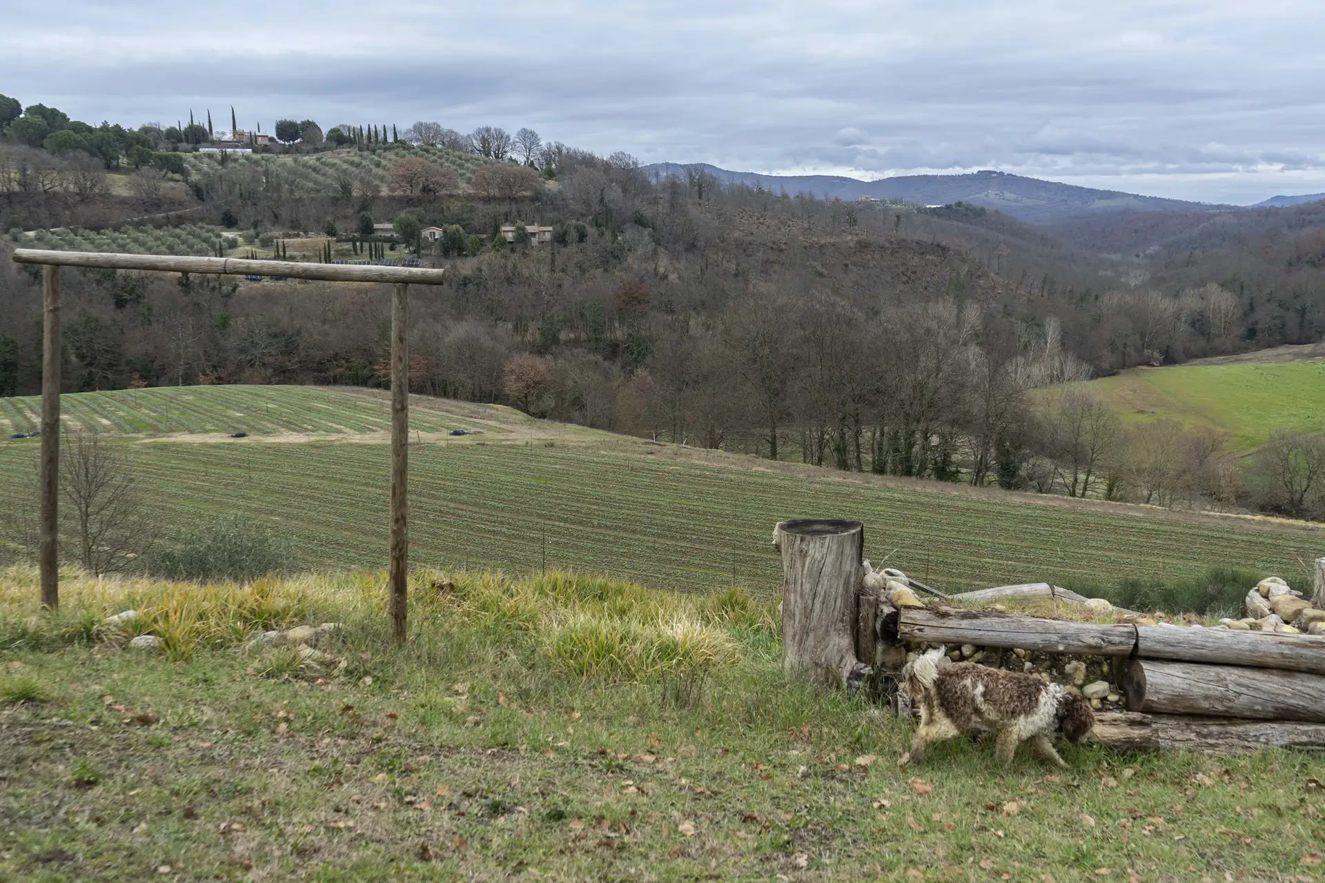 Uno dei campi dell’azienda agricola Quintosapore a Città della Pieve (Perugia)