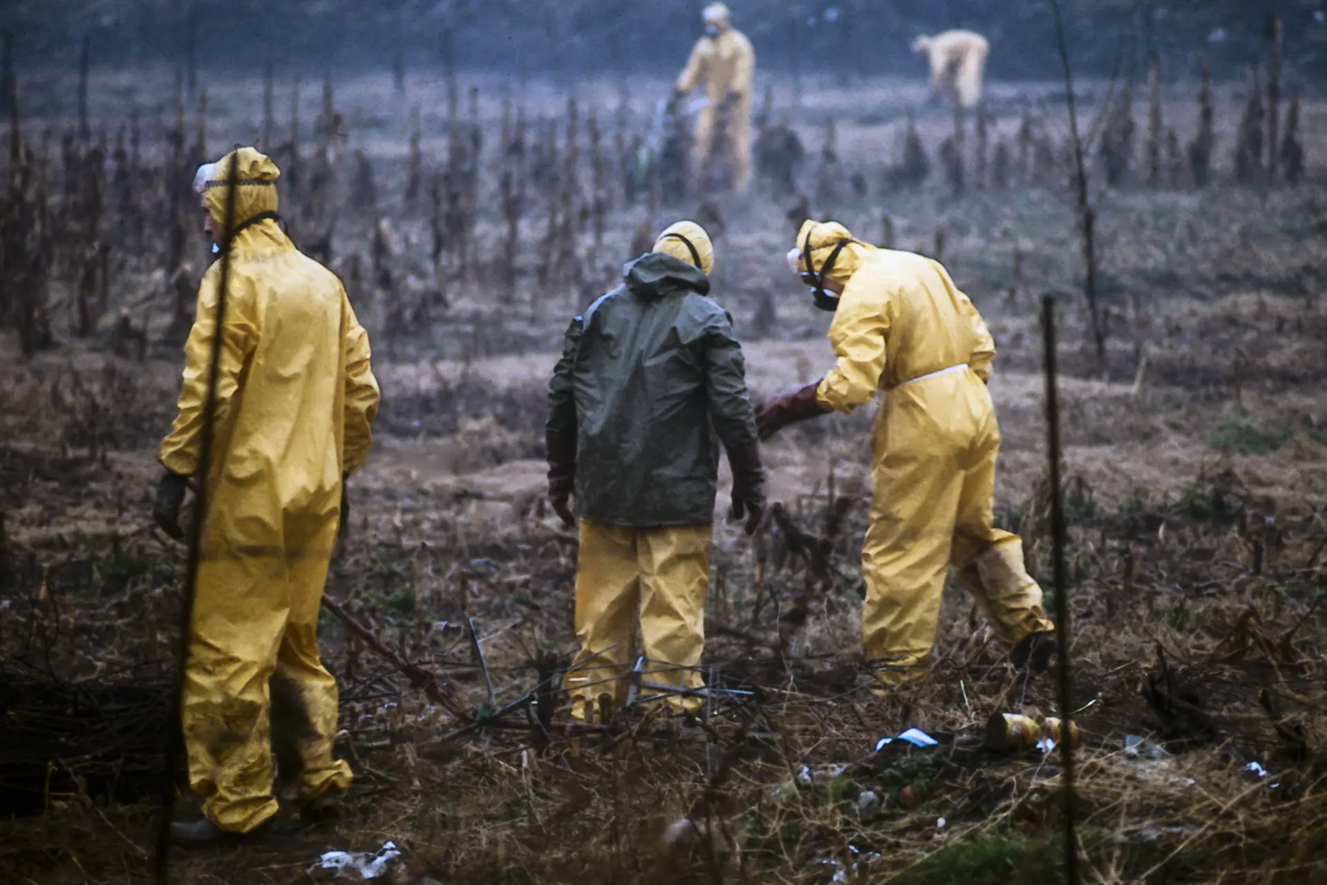 Tentativi di bonifica dalla diossina delle zone A e B pochi giorni dopo l'incidente 