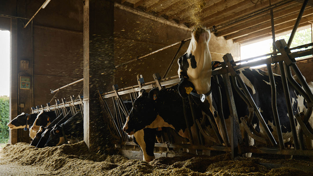 Quel che sarà dell’agricoltura italiana IrpiMedia